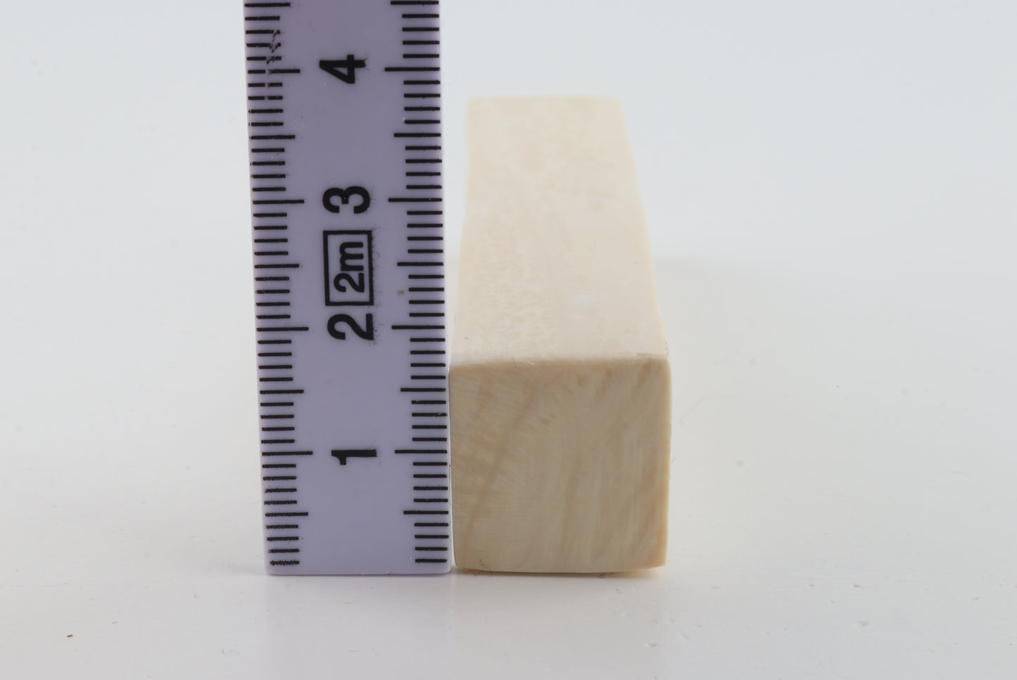 White mammoth ivory segment