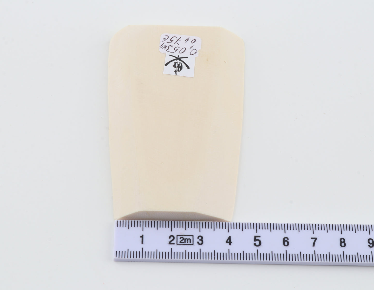 White mammoth ivory segment
