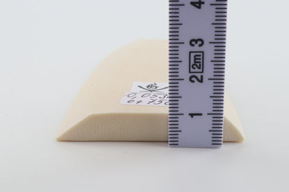 White mammoth ivory segment