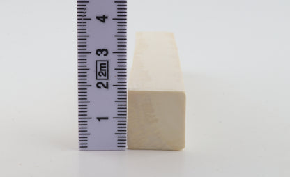 White mammoth ivory segment