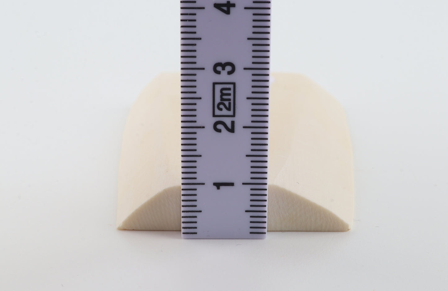 White mammoth ivory segment