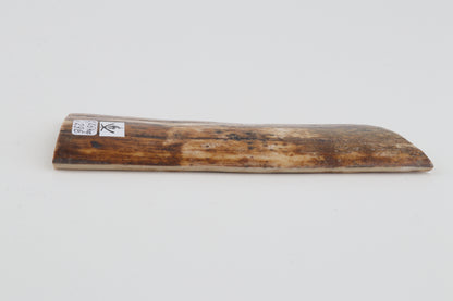 Beige-green mammoth bark