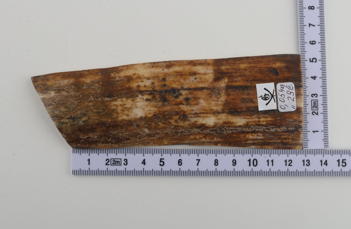 Beige-green mammoth bark