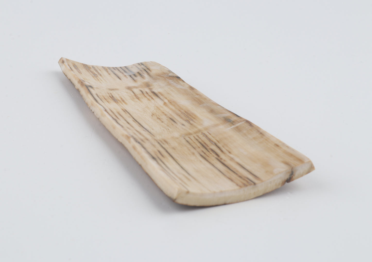 Beige-green mammoth bark