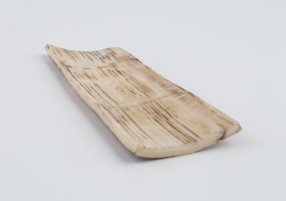 Beige-green mammoth bark