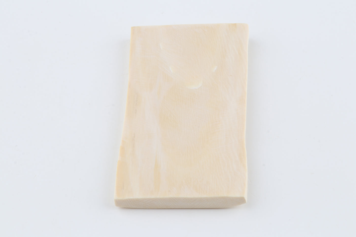 White mammoth ivory segment