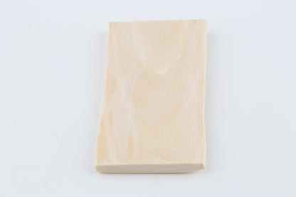 White mammoth ivory segment