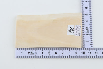 White mammoth ivory segment