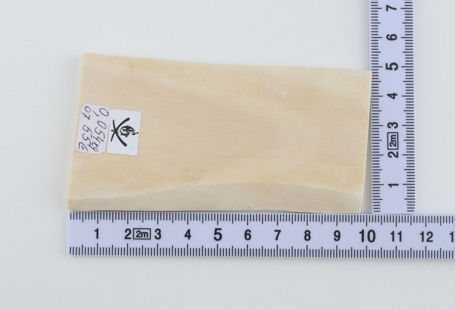 White mammoth ivory segment