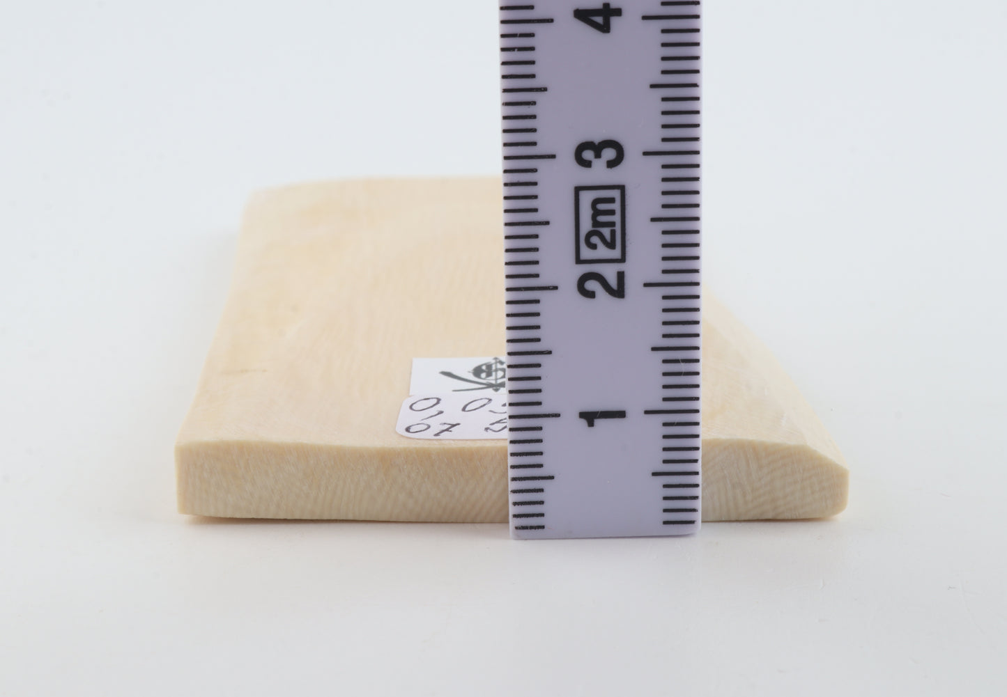 White mammoth ivory segment