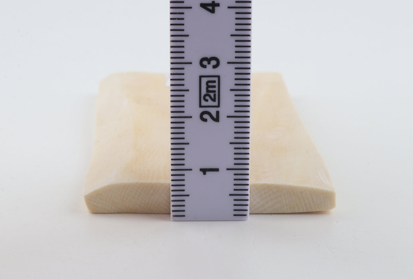 White mammoth ivory segment