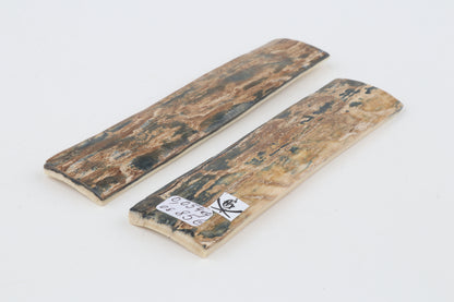 Natural mammoth bark scales