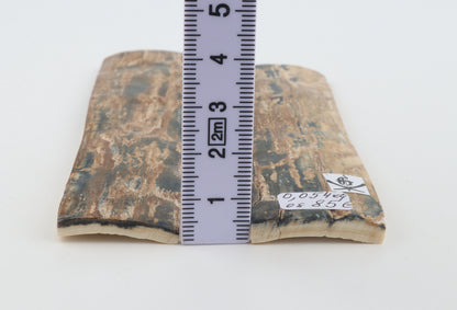 Natural mammoth bark scales