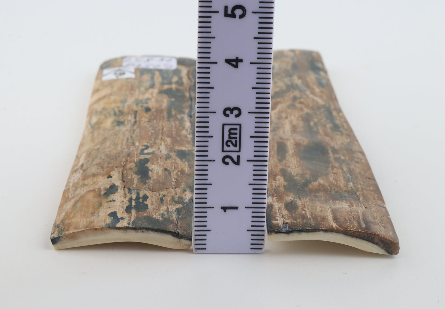 Natural mammoth bark scales