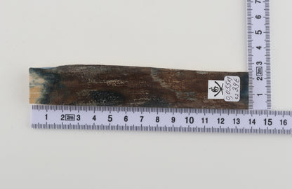 Blue-brown mammoth bark