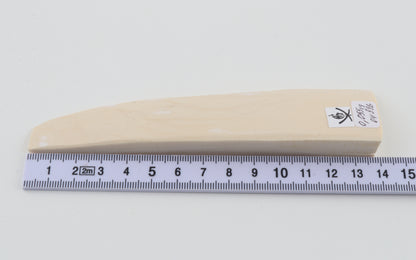 White mammoth ivory piece