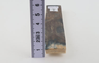Blue-brown mammoth bark