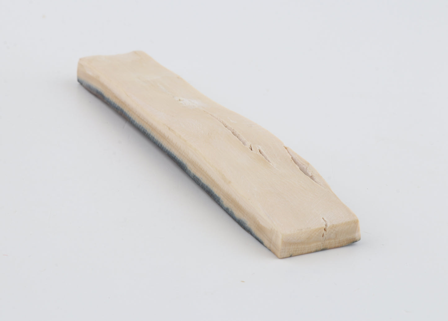 Blue-brown mammoth bark