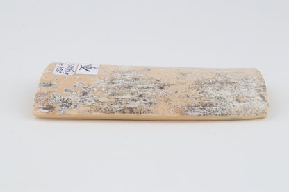 White-grey mammoth bark