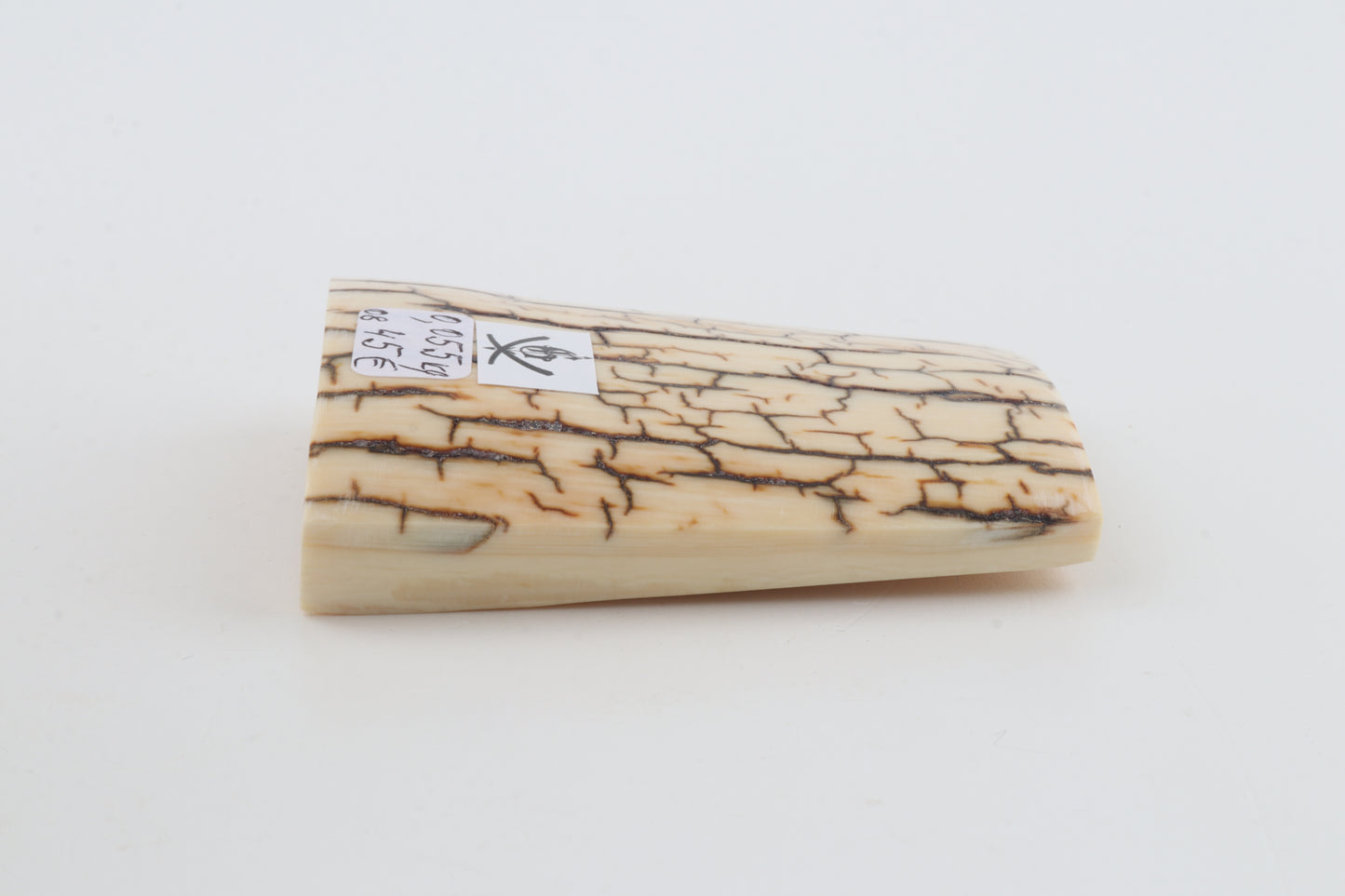 Creme-ivory mammoth bark