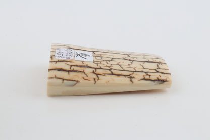 Creme-ivory mammoth bark
