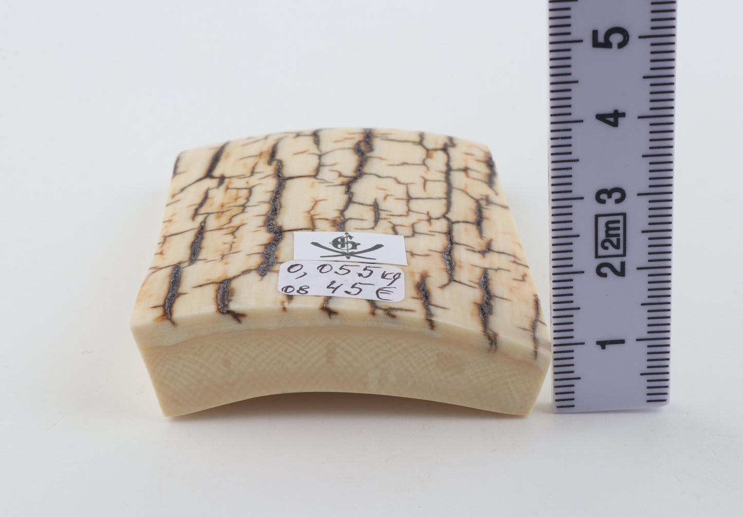 Creme-ivory mammoth bark