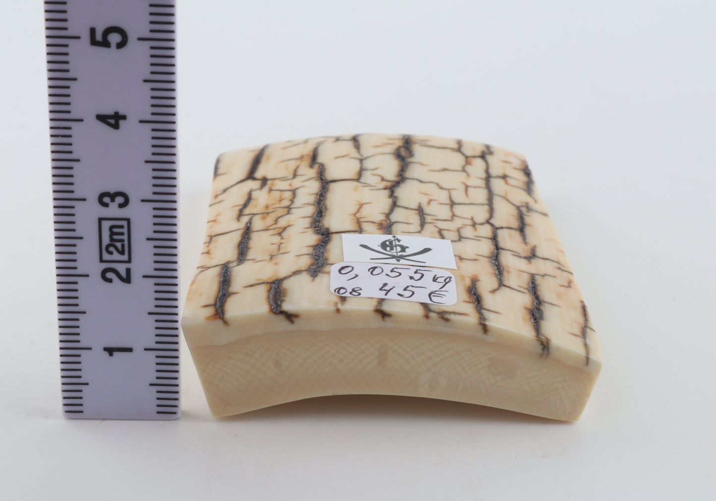 Creme-ivory mammoth bark