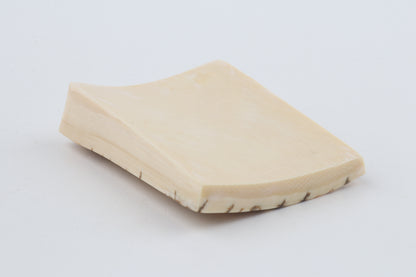 Creme-ivory mammoth bark