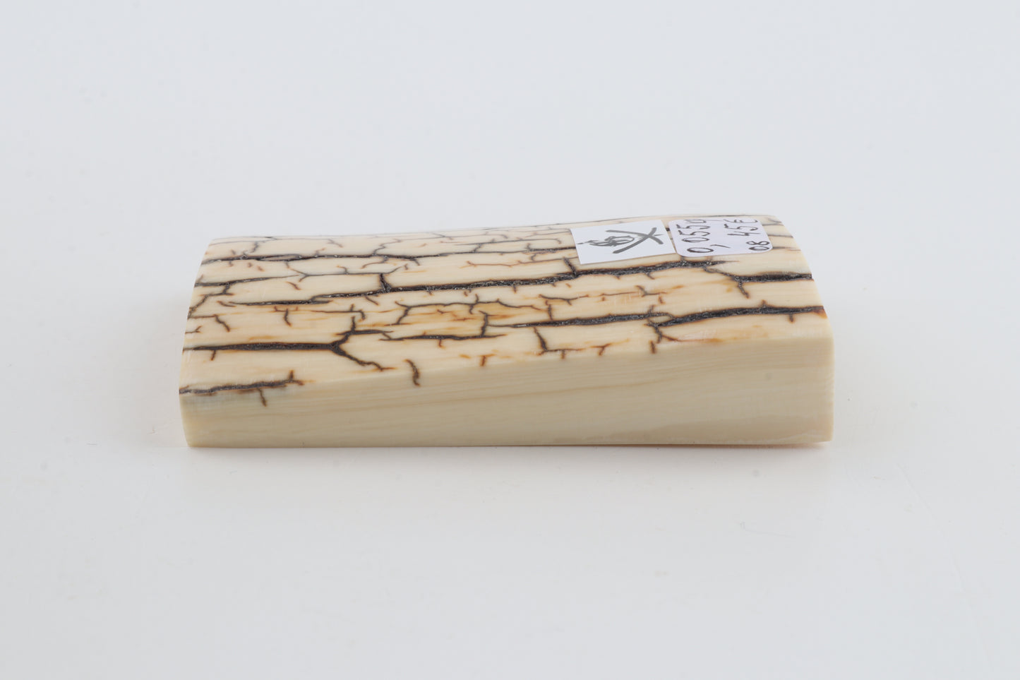 Creme-ivory mammoth bark