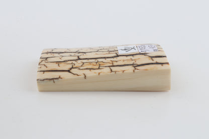Creme-ivory mammoth bark
