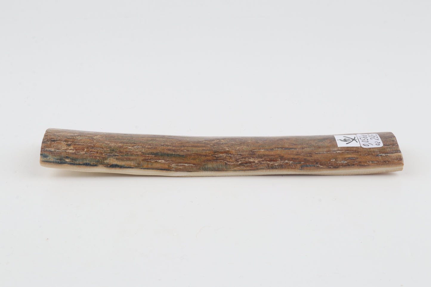 Beige mammoth bark