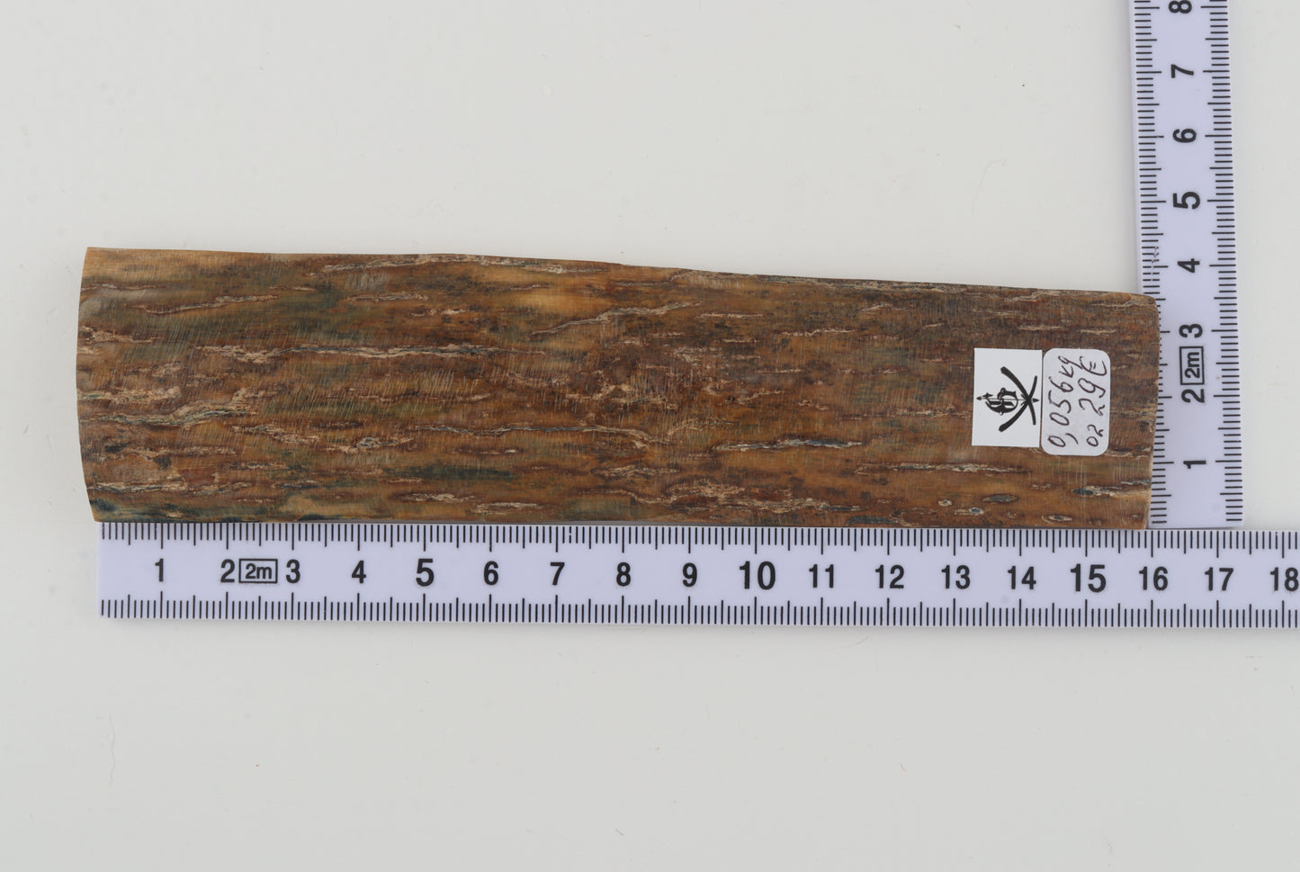 Beige mammoth bark