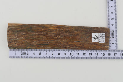 Beige mammoth bark