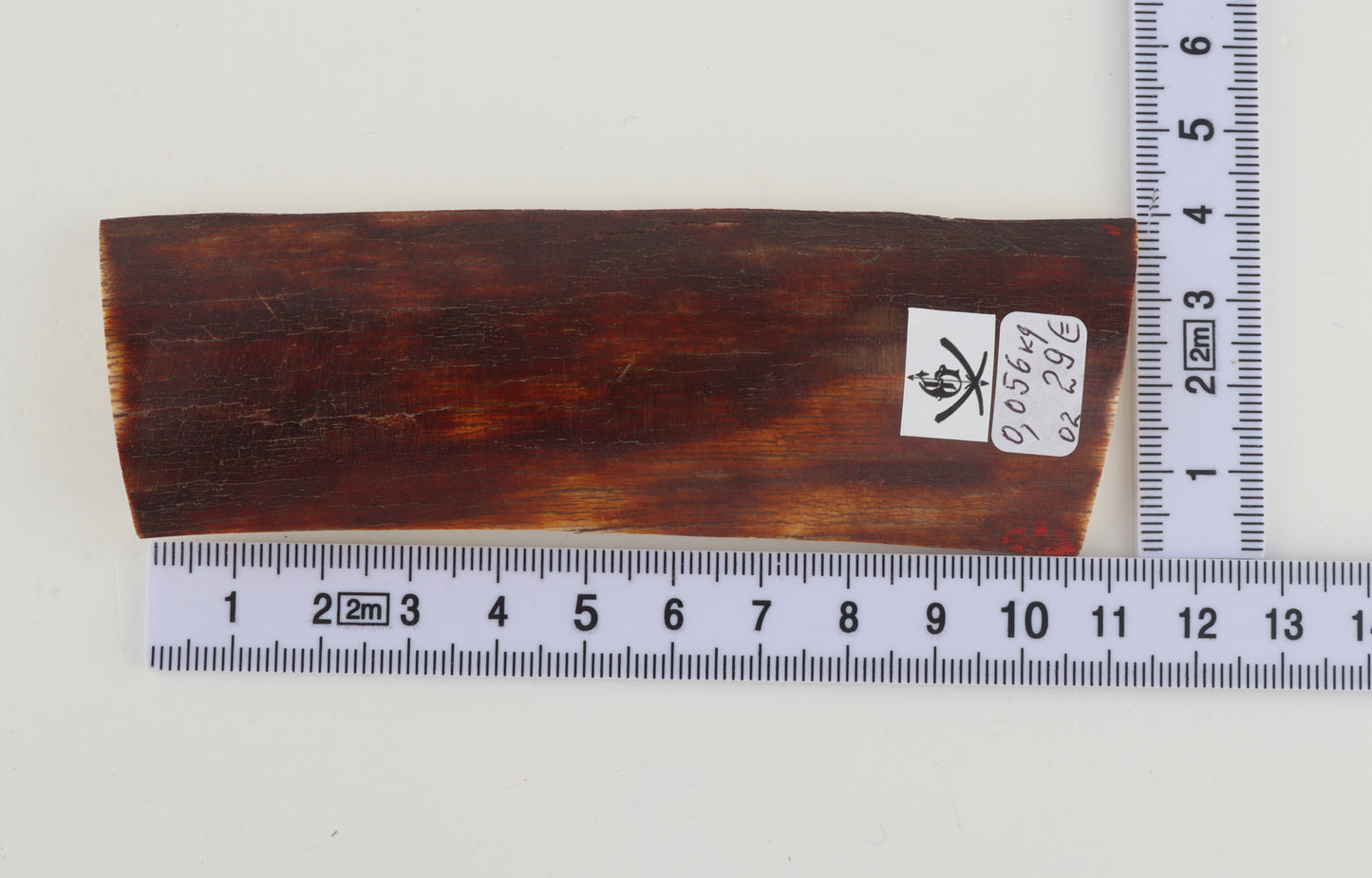 Red-brown mammoth bark