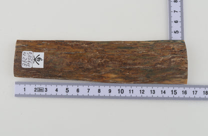 Beige mammoth bark