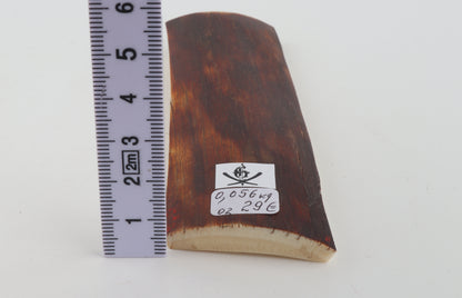 Red-brown mammoth bark