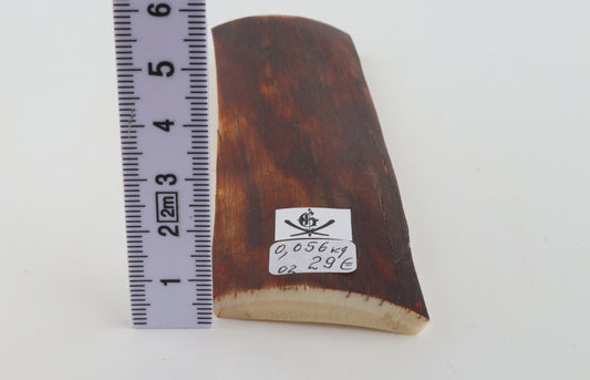 Red-brown mammoth bark