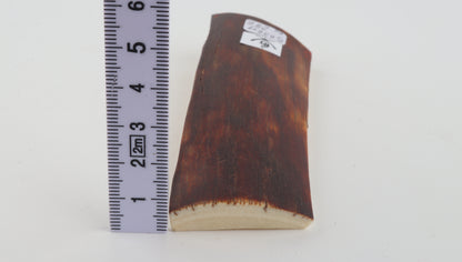 Red-brown mammoth bark