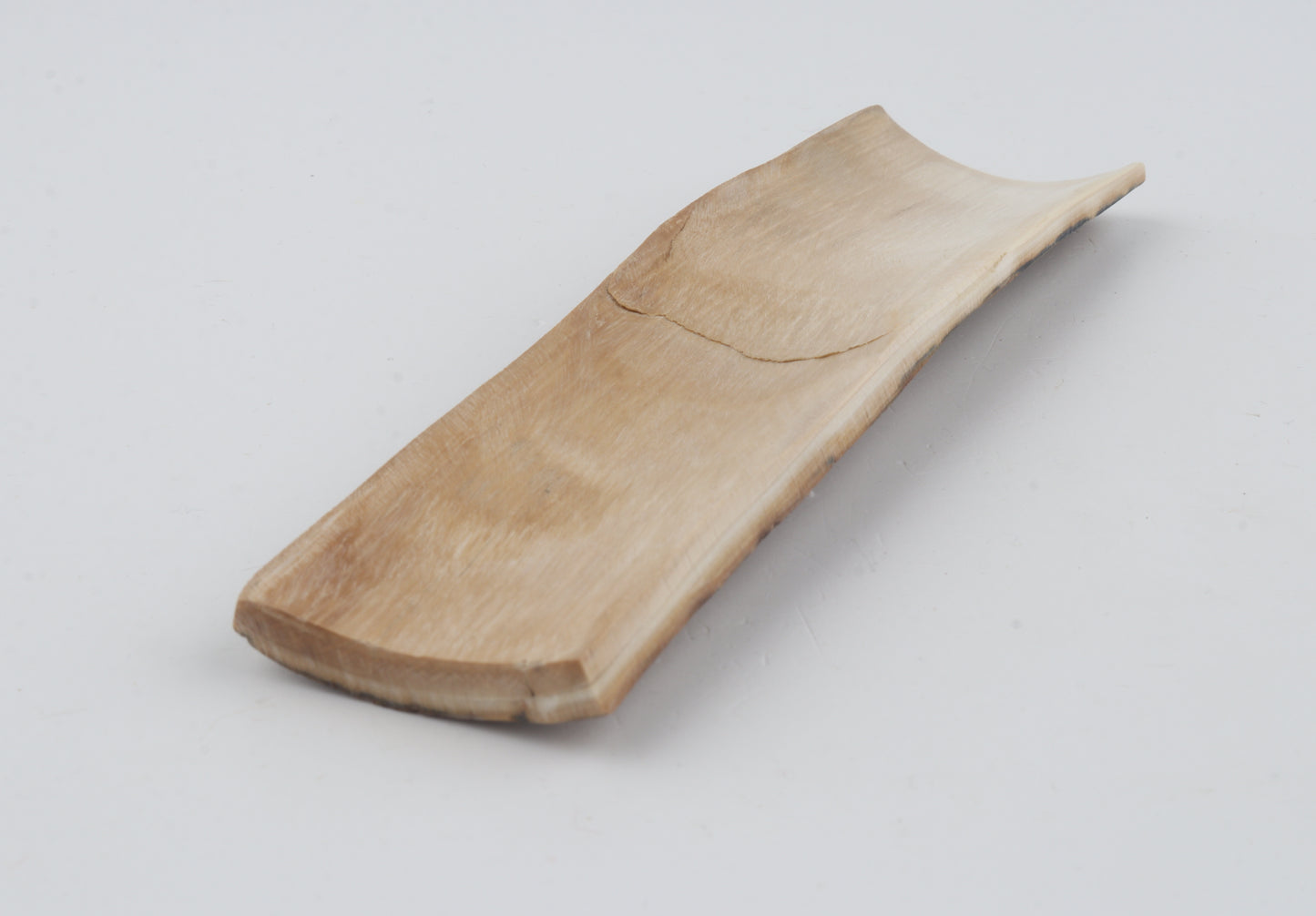 Beige mammoth bark