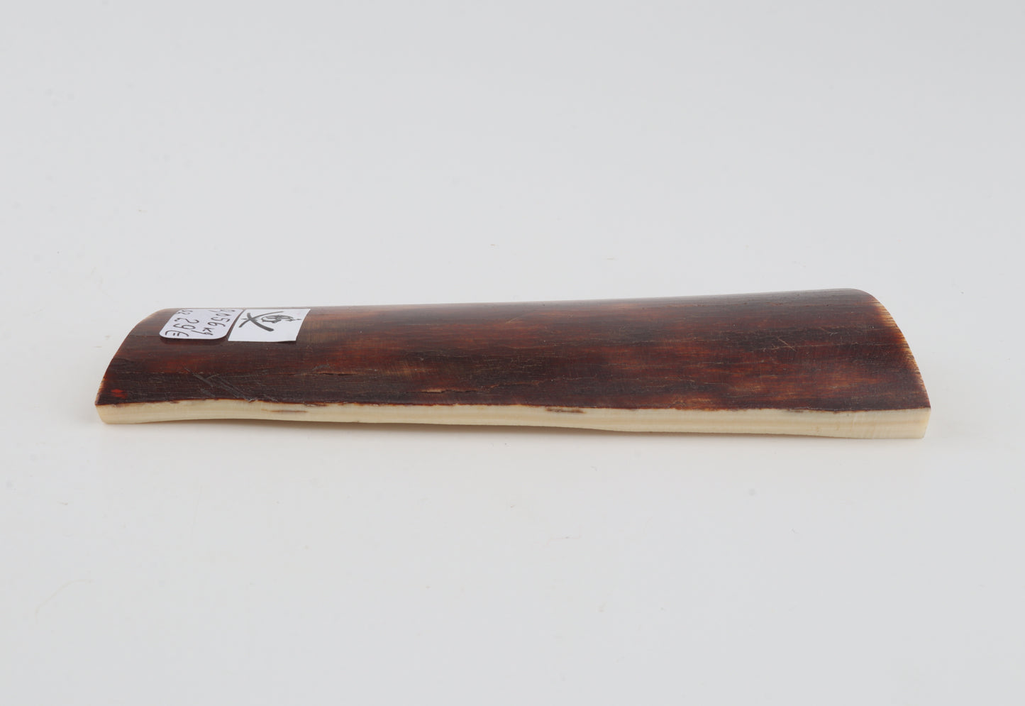 Red-brown mammoth bark