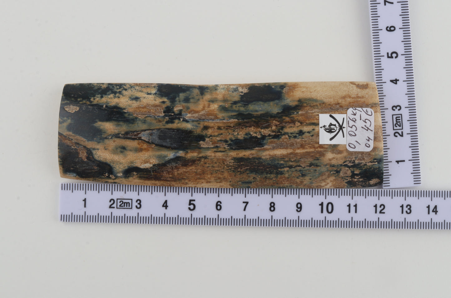 Blue-beige mammoth bark