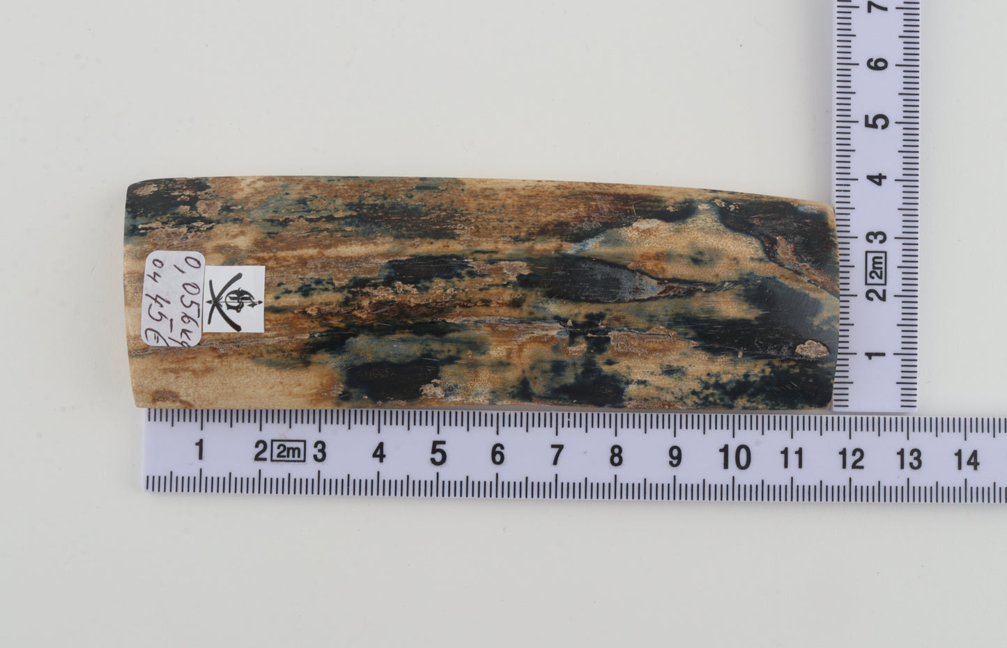 Blue-beige mammoth bark