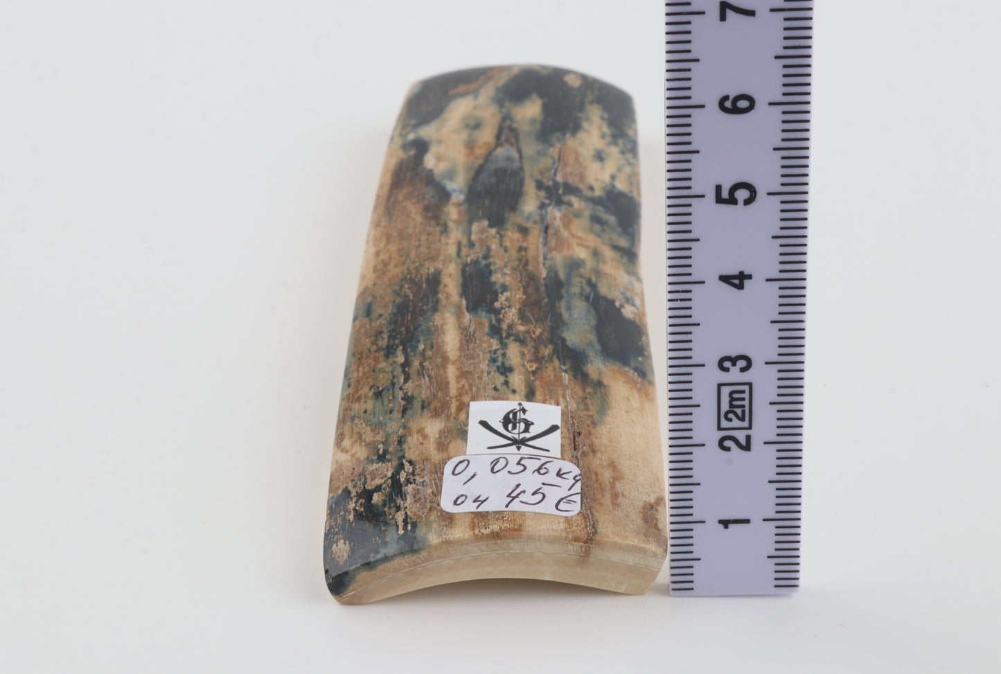 Blue-beige mammoth bark