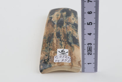 Blue-beige mammoth bark