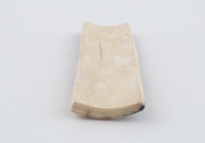 Blue-beige mammoth bark