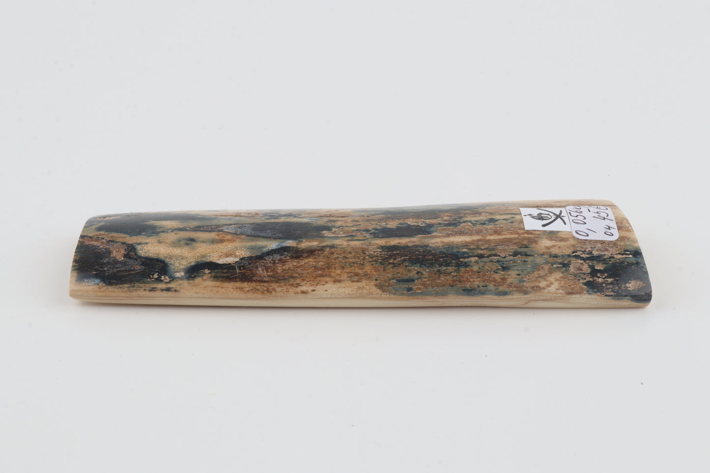Blue-beige mammoth bark