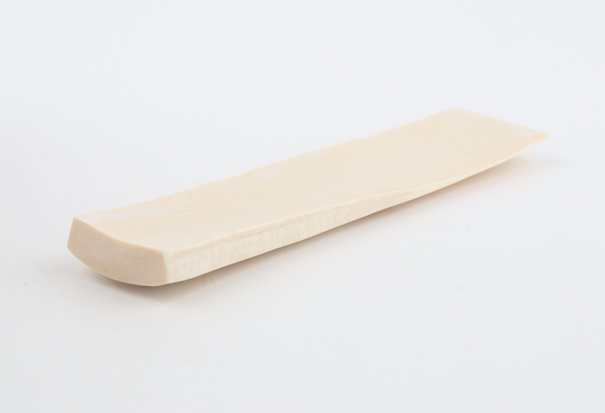 White mammoth ivory segment