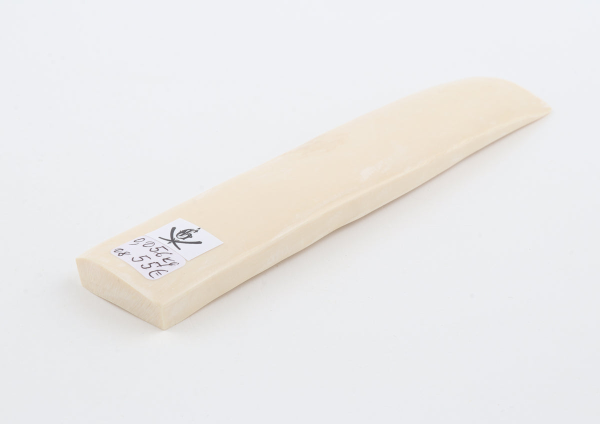 White mammoth ivory segment