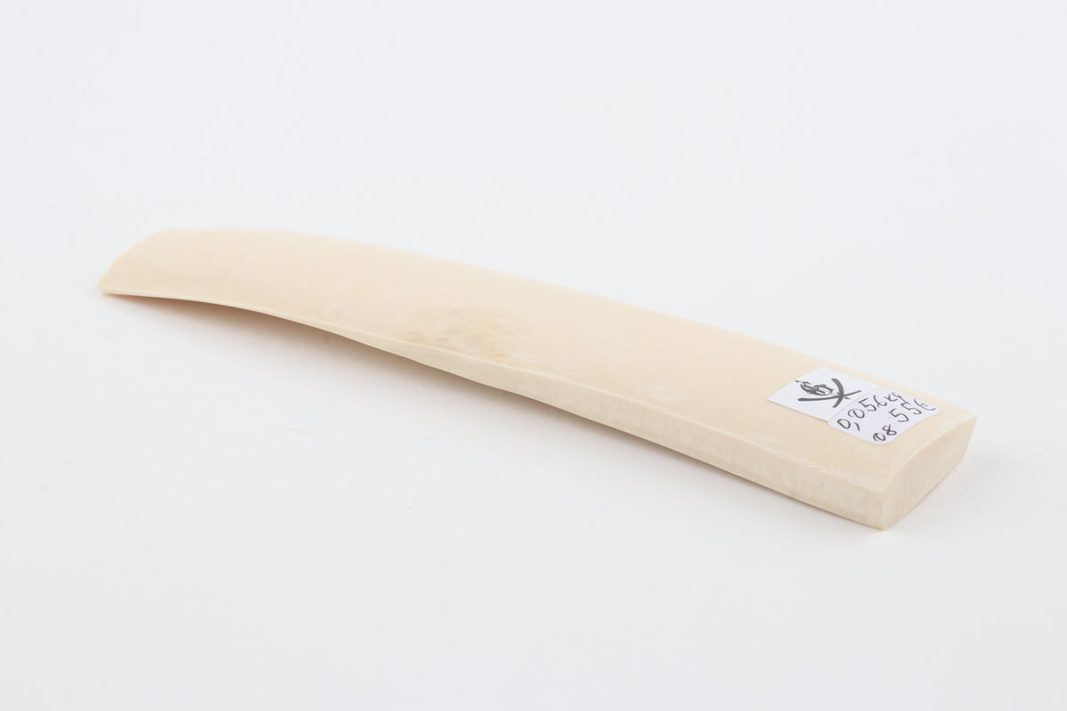 White mammoth ivory segment