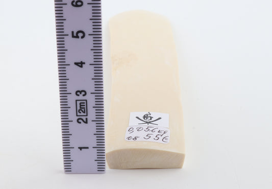 White mammoth ivory segment